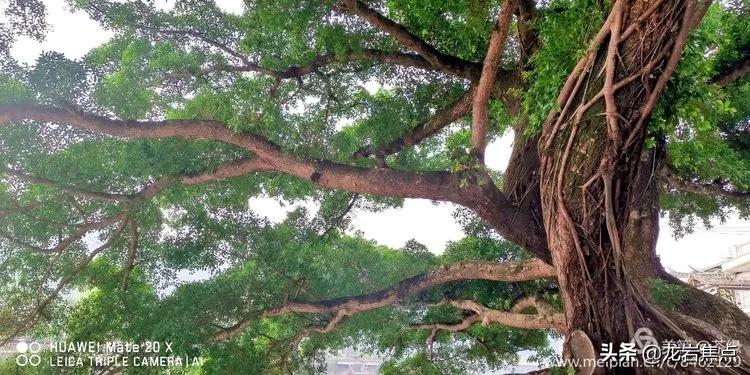 长汀一日游的视频,长汀自驾游攻略一日游