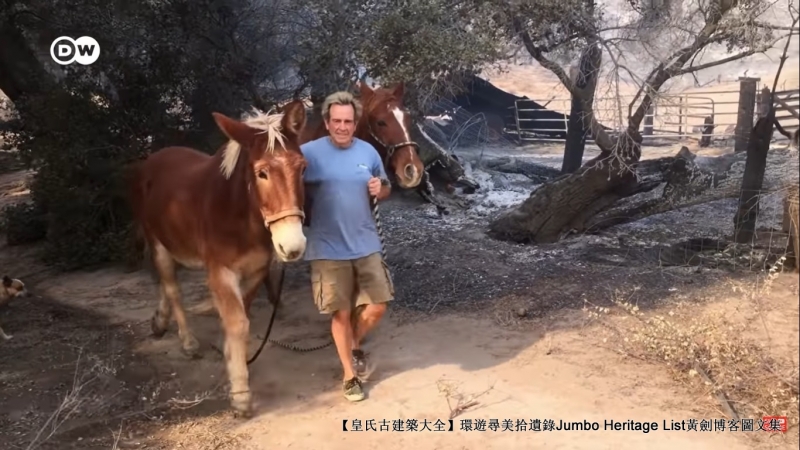 第4027回：气候*弹炸**亚洲纸浆，水上烟泥炭地退化