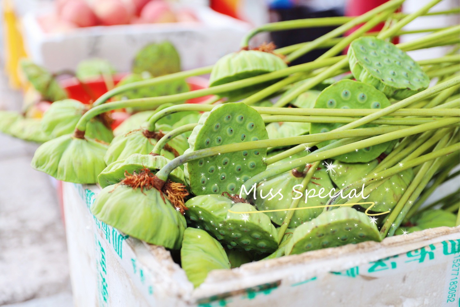 天空之镜倒影跳舞视频,天空之镜舞蹈