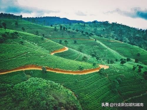 我的旅行日记：神秘的南亚岛国，印度洋上明珠的七天六晚行程