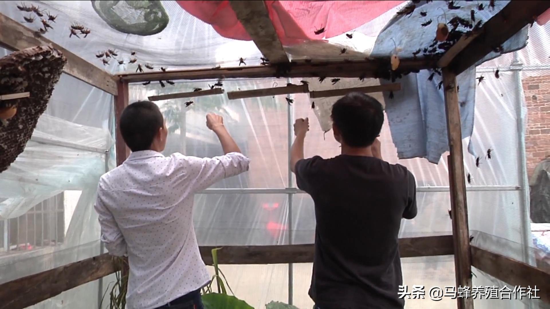 艺高人胆大好吃到爆炸,艺高人胆大就不怕翻车