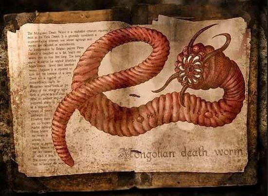 罕见的博比特虫和蛙鱼夜间狩猎,博比特虫把鱼撕成两半