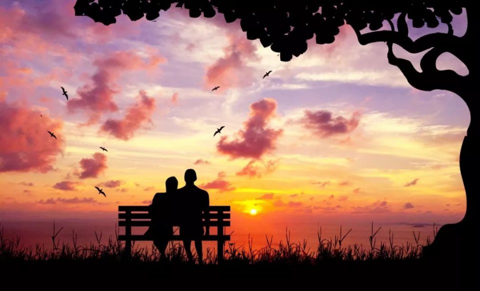 你离丧偶式婚姻有多远,你离爱情还有多远