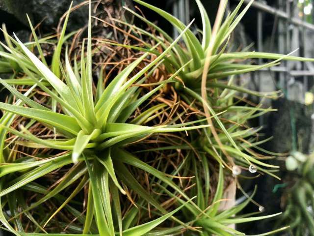 东京到镰仓和箱根攻略,东京箱根富士山镰仓