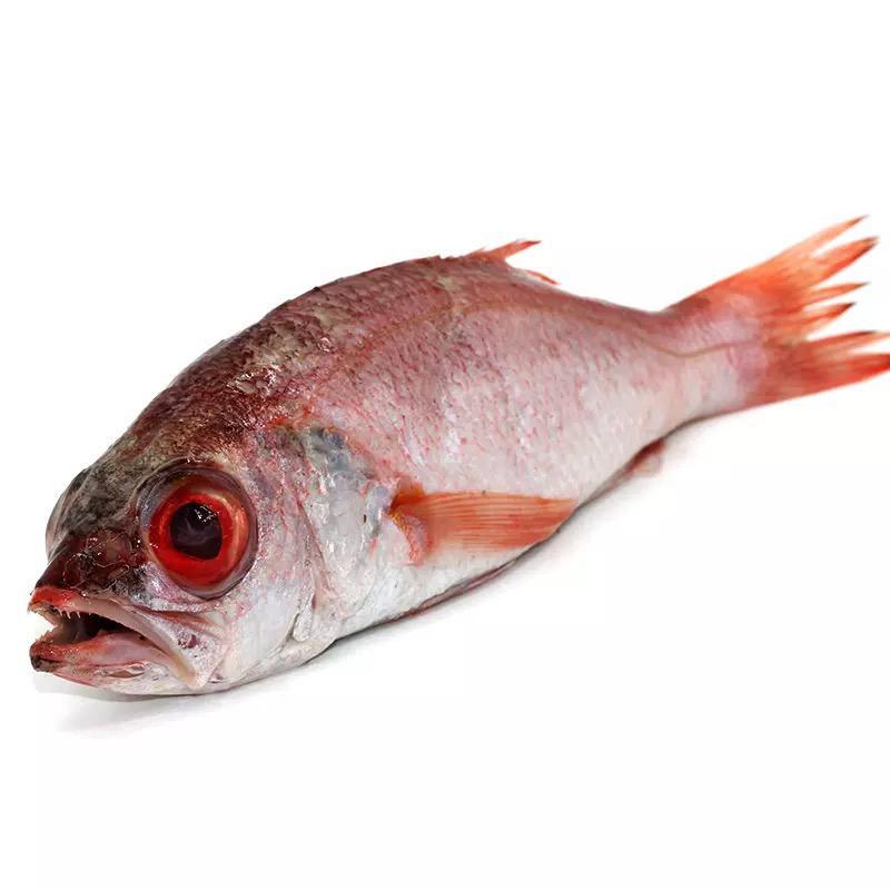 海中贵族是什么意思,海中贵族埼玉