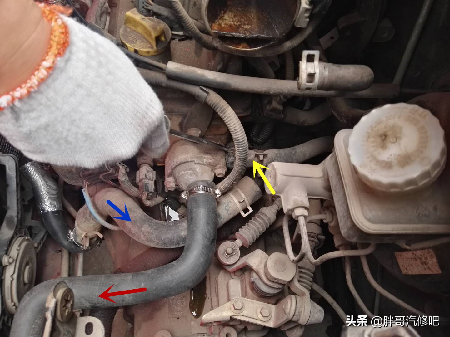 汽车冷却系统排气操作教程,胖哥教车