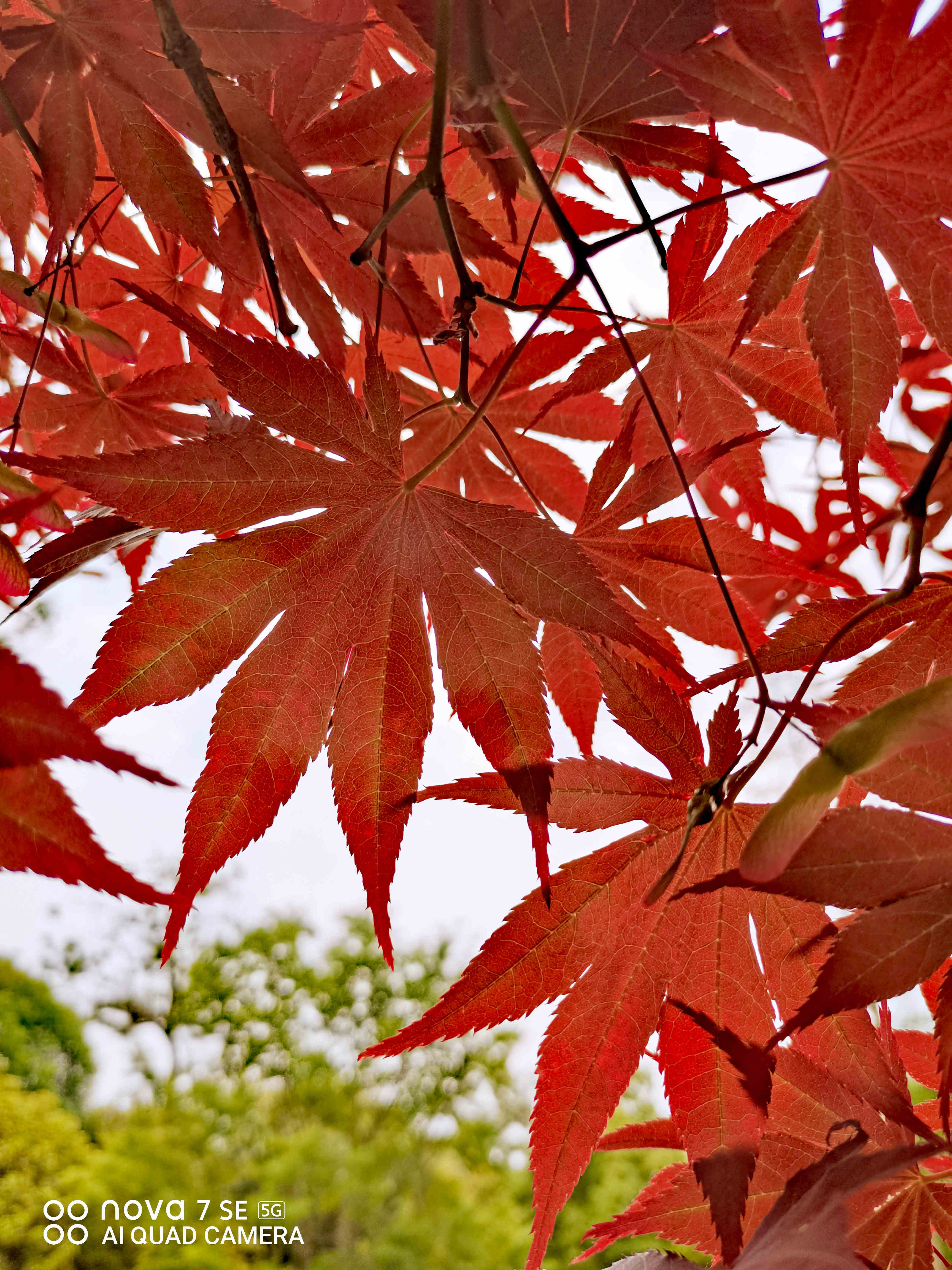 华为nova7se现在属于什么水平,2023年华为nova7se还值得入手吗