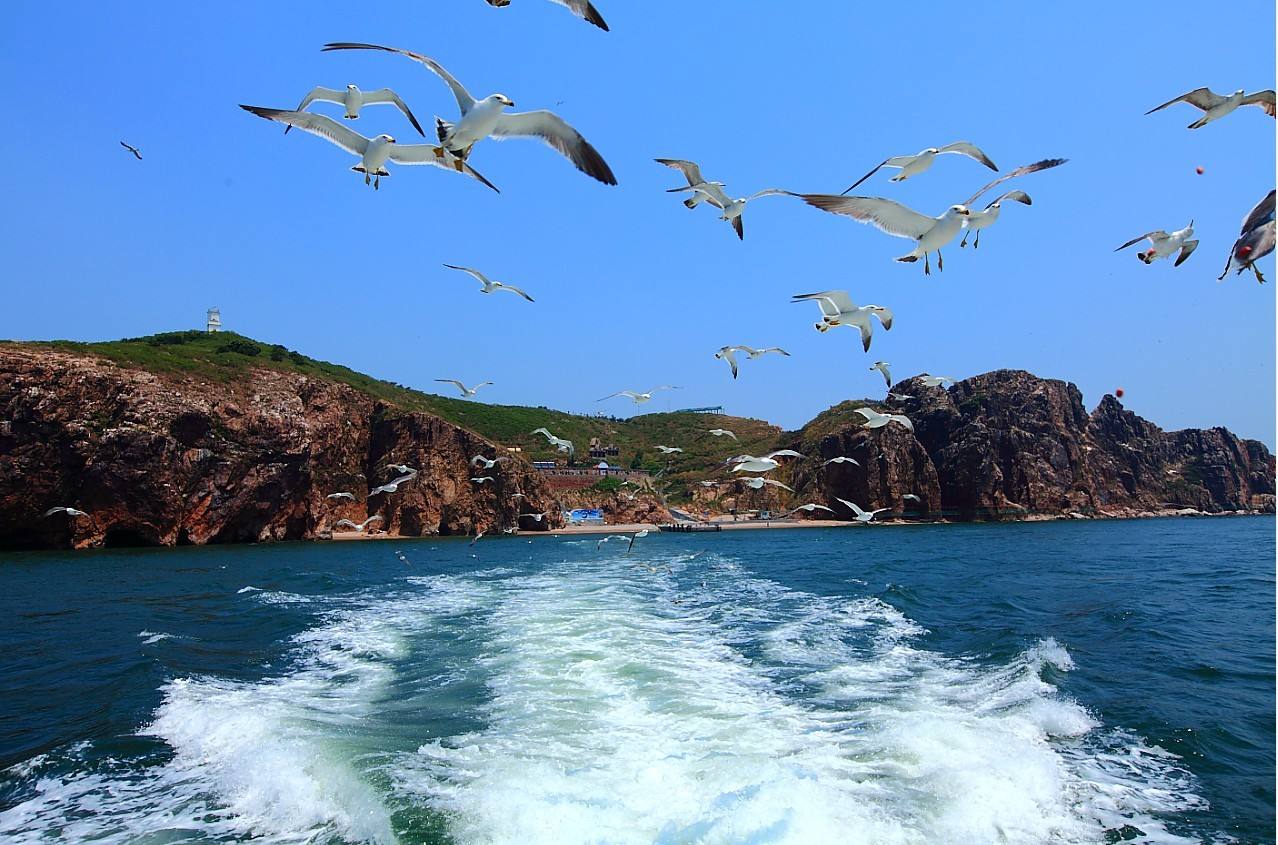 威海被评为联合国宜居城市,威海全国唯一卫生免检城市