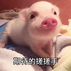 海中体育特长生,青岛实验高中2019特长生招生简章