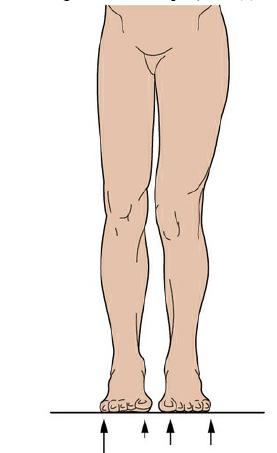 骨盆旋转训练动作,改善骨盆回旋纠正体态