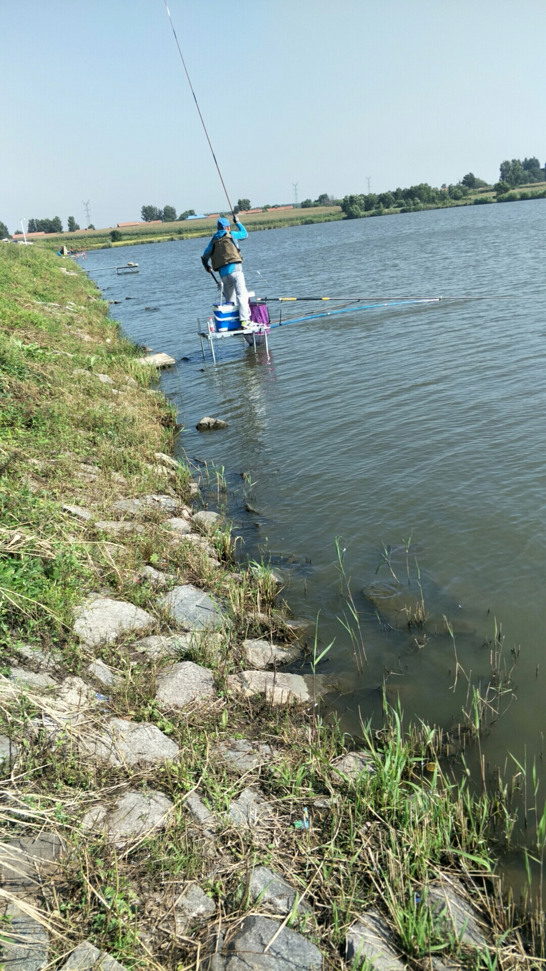 春季草鱼打窝的最佳方法,春季钓草鱼用鸭饲料打窝好吗