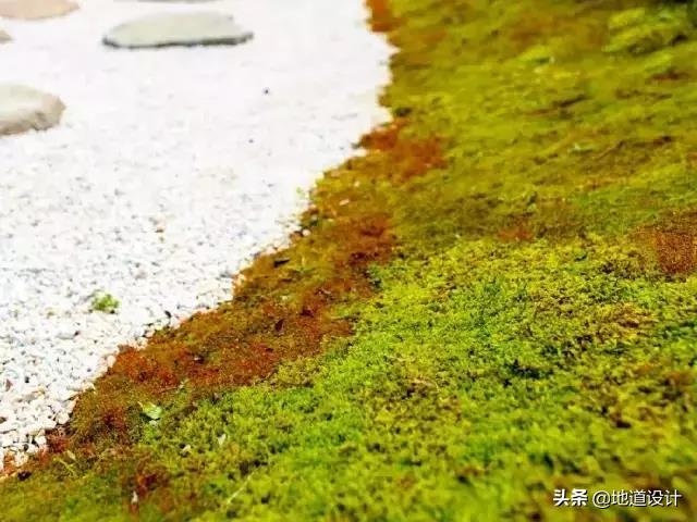 你敢相信？就凭“佛祖拈花一笑”的典故设计出一个拈花湾小镇