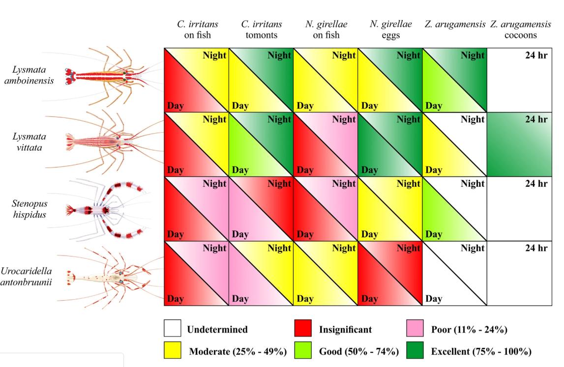 养殖石斑鱼有寄生虫,石斑鱼寄生虫防治方法