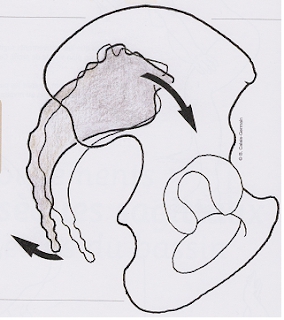 经常腰痛肩痛是怎么回事,经常腰痛腹部痛是什么原因