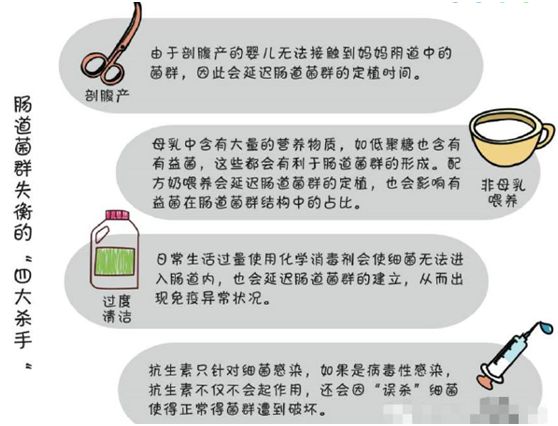 宝宝肠道内有哪些益生菌,宝宝肠道菌群定植