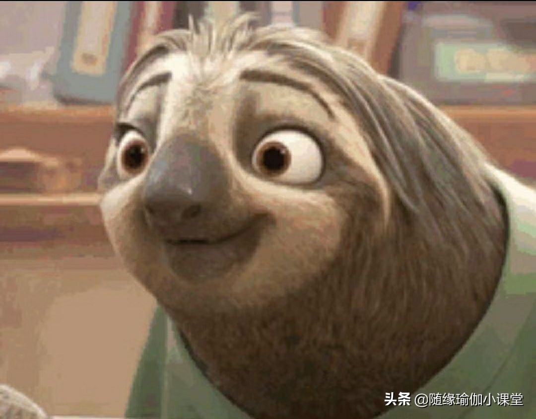 什么瑜伽是所有瑜伽的基础,瑜伽零基础从什么瑜伽开始