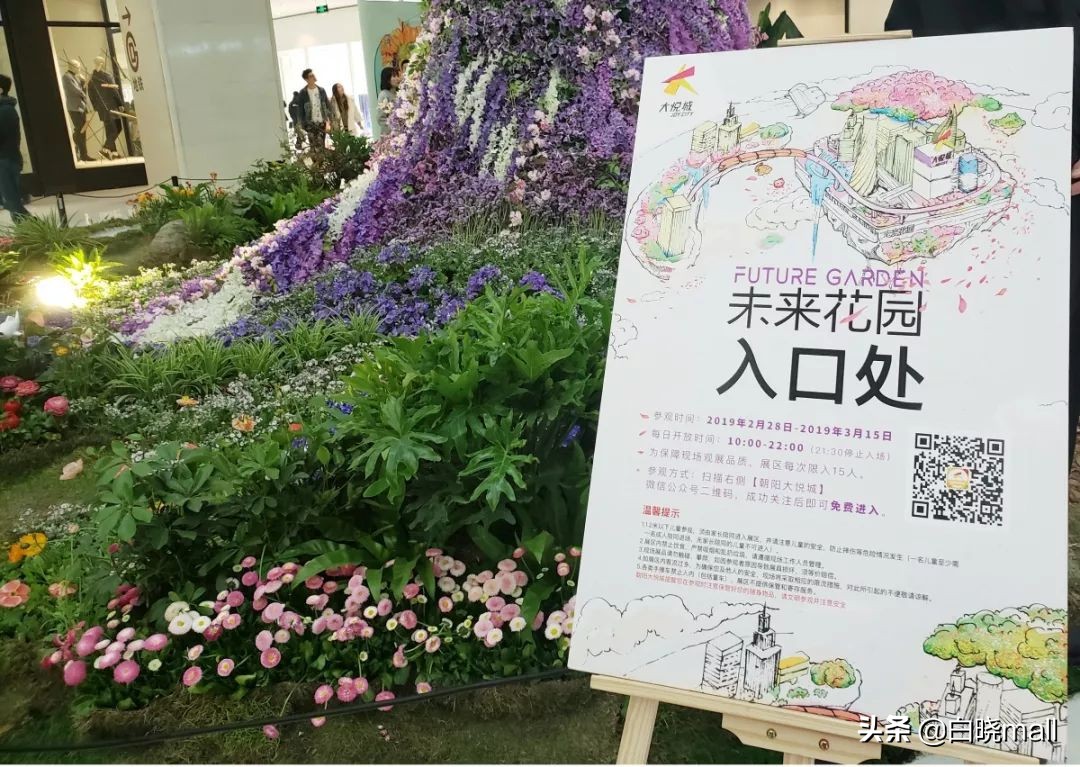 打卡朝阳大悦城,打卡朝阳餐厅