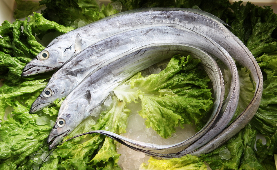 什么鱼鱼刺少又好吃还便宜,鱼刺少什么鱼最好吃