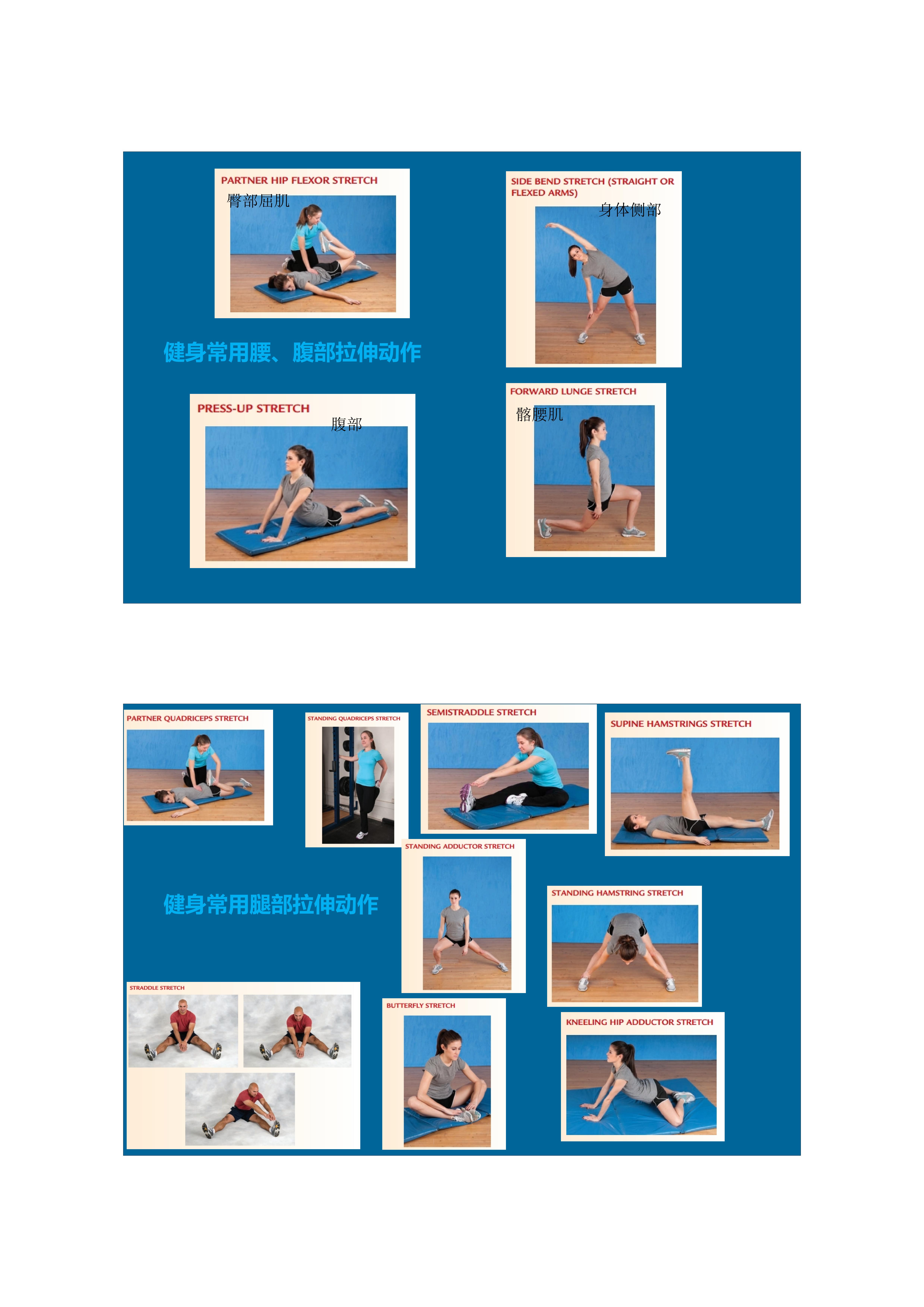 1分钟拉伸动作视频,拉伸腿部技巧