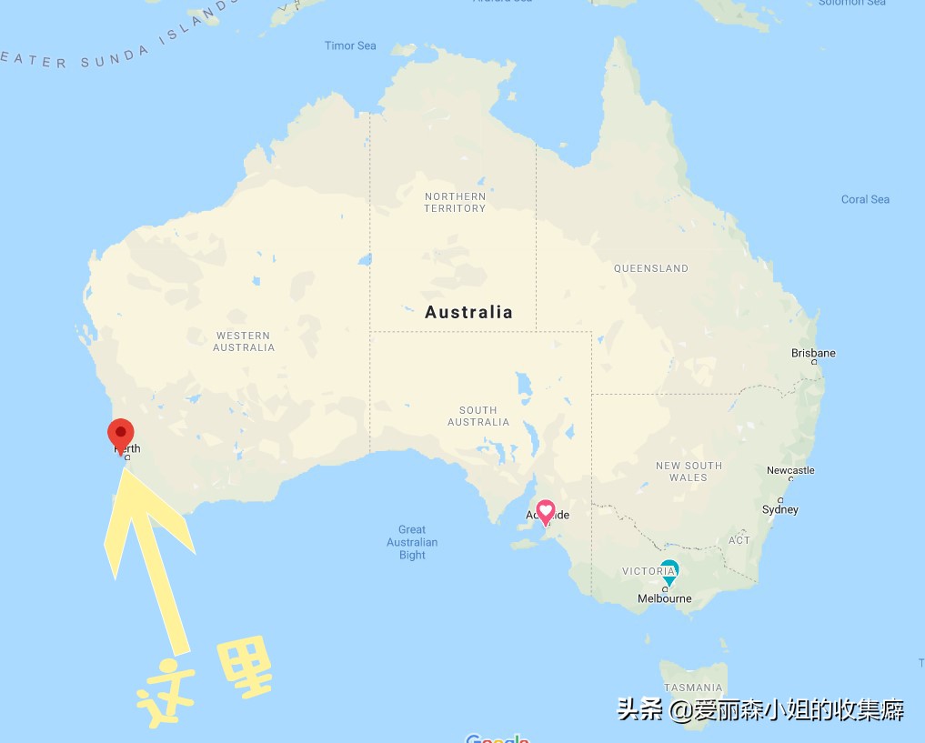 为什么我们会微笑?10个关于微笑袋鼠的萌萌秘密