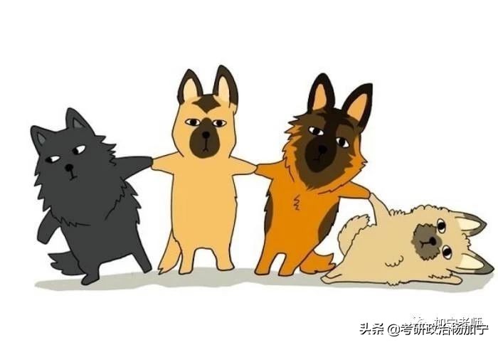 考研34所、C9、985、211，小985、Z14、双一流，这些你分得清吗？