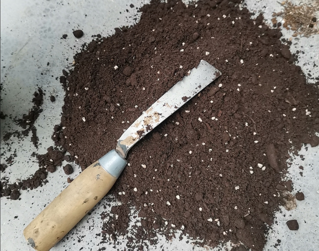 如何处理用过的花土呢,花土怎么样才能重复利用还肥沃