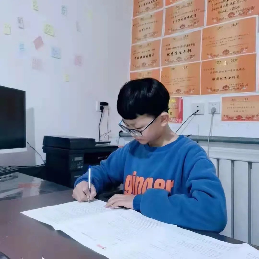 保定东方双语学校,保定东方双语学校和保定双语学校