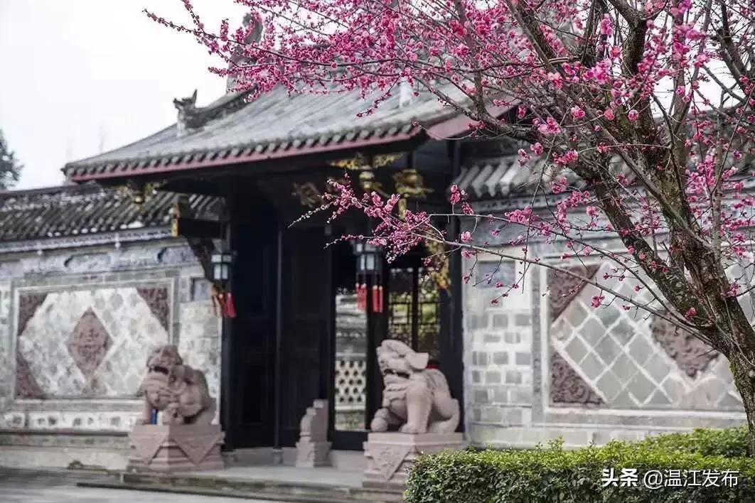 温江区十四五规划要做的十件大事,干大事