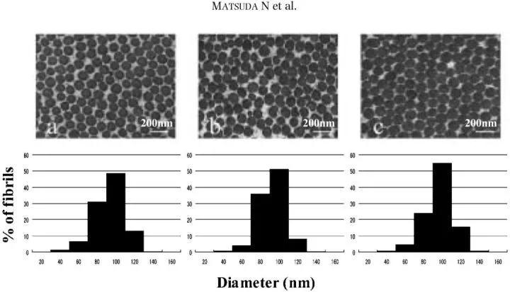 如何最高效补充胶原蛋白,重组胶原蛋白多效修护副作用