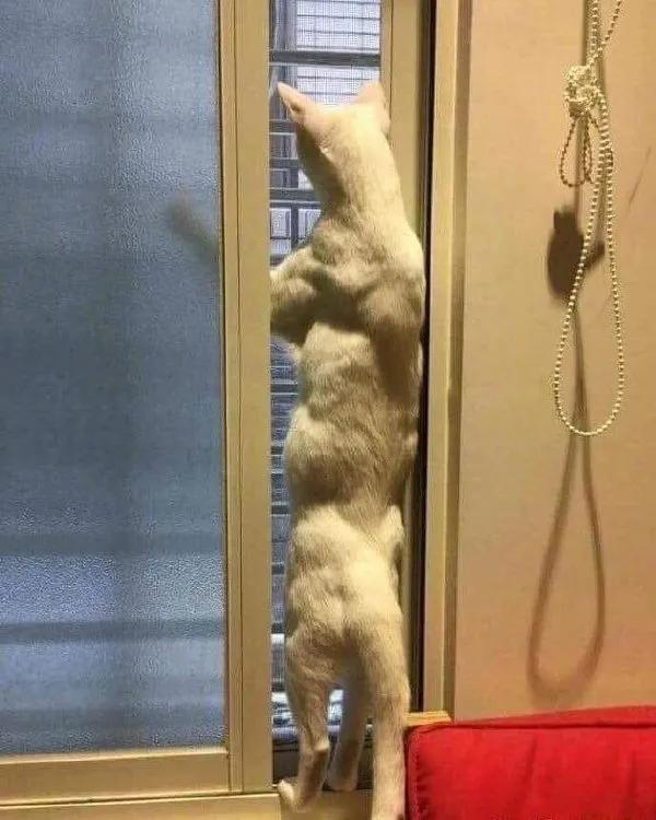 每日一难题中午吃什么,每日一苦恼中午吃什么