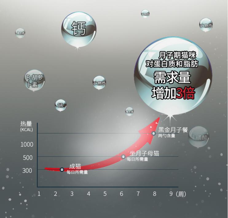 猫咪产后喝什么汤下奶,猫咪奶水不足用什么汤最好