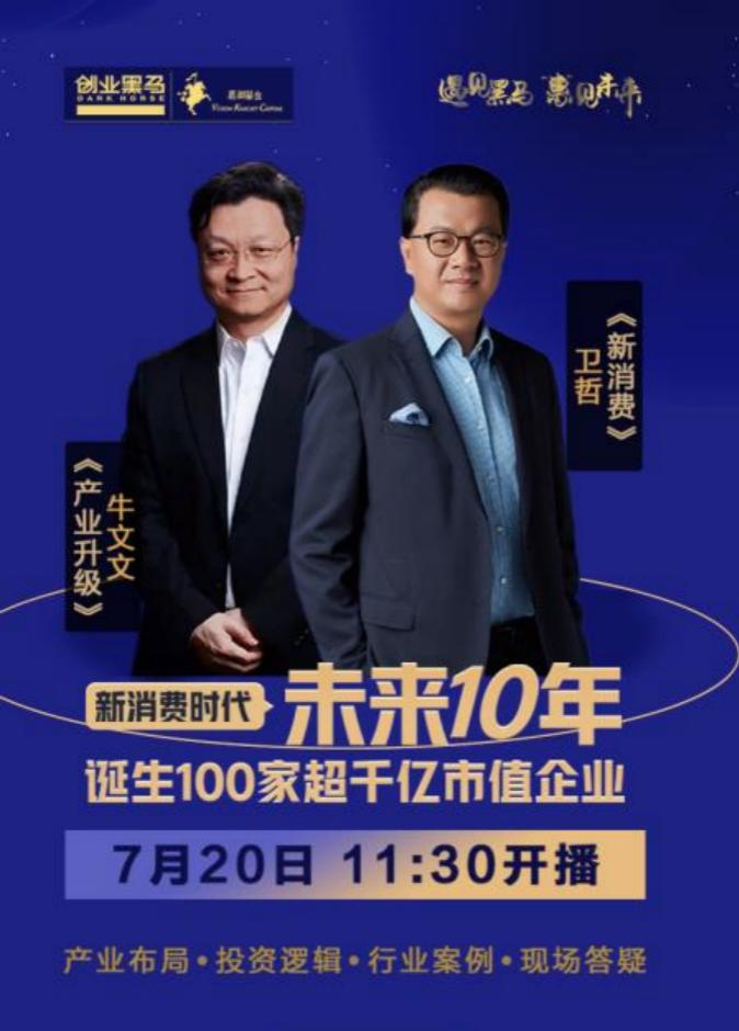 想打造新品牌的孤独创业者,如何走向“雁阵效应”?