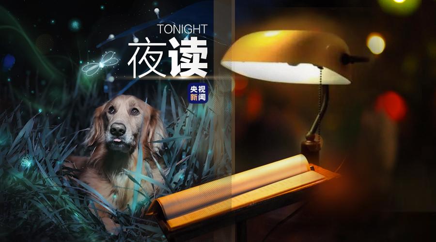 一条老狗书籍,一条老狗季羡林文章读后感