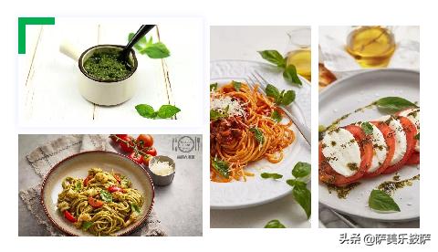 披萨用哪种香草,步骤完整的烘焙美味披萨的全攻略