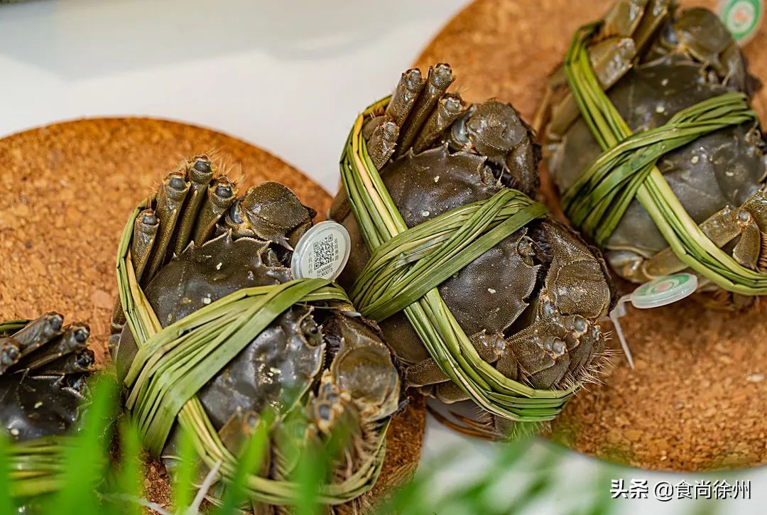 吃阳澄湖大闸蟹地方,吃阳澄湖大闸蟹的最佳地方在哪