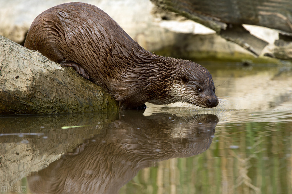 唐代诗人杜甫风格特点,杜甫每首诗表达的情感特点