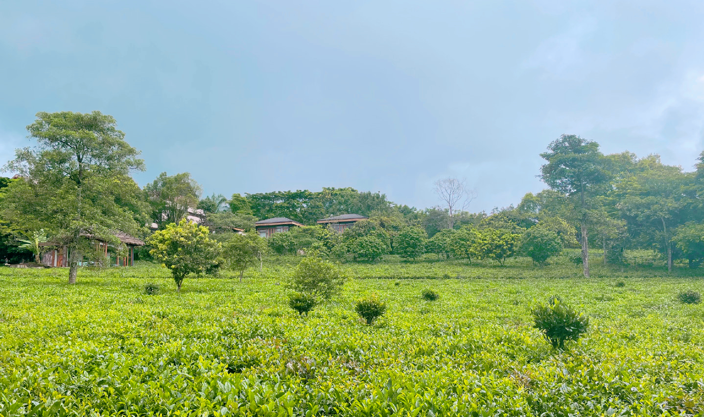 云南小城普洱，生活节奏慢得像诗，冬暖夏凉物价低适合养老