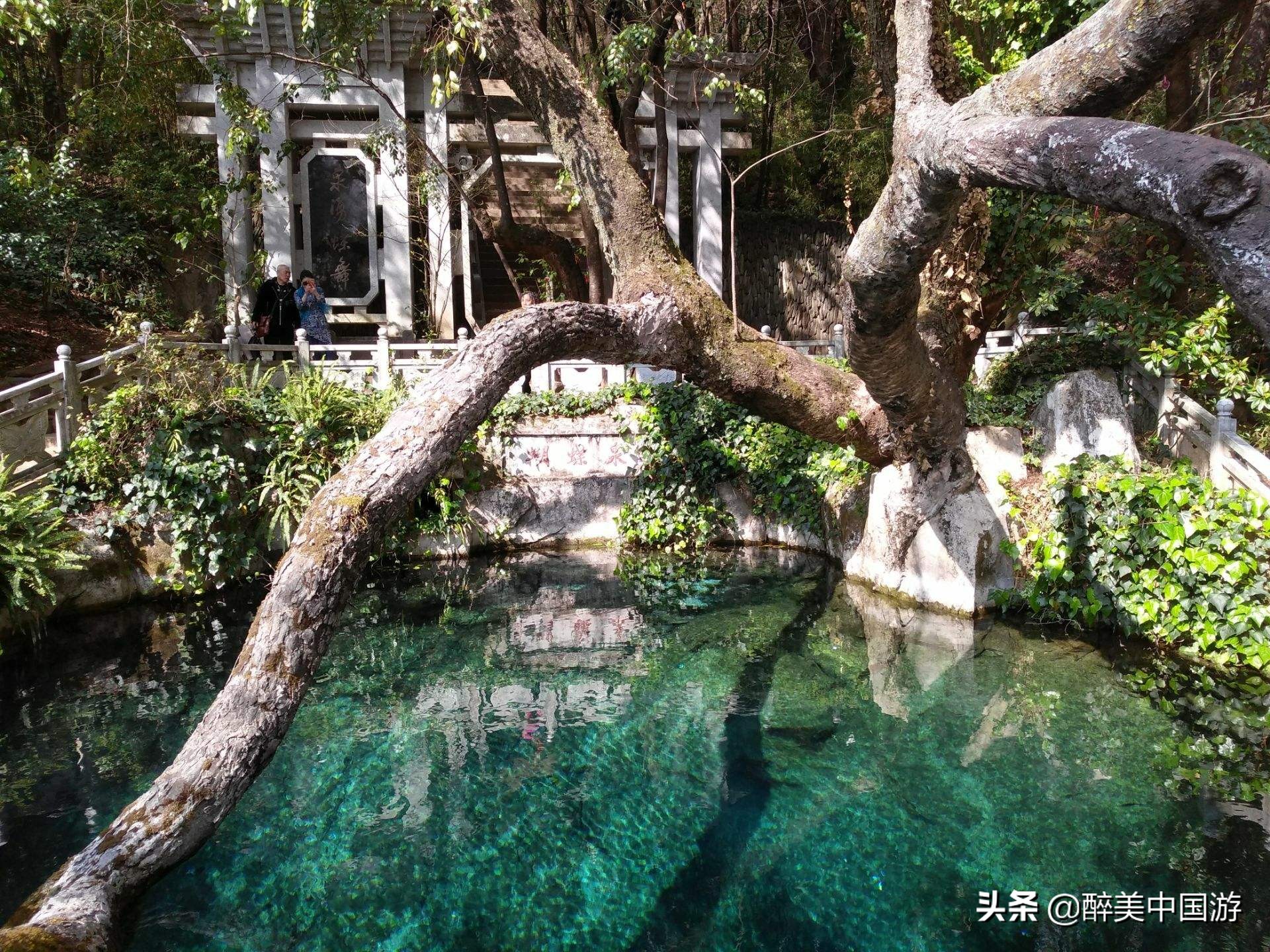 大理蝴蝶泉风景美不胜收,又一休闲好去处