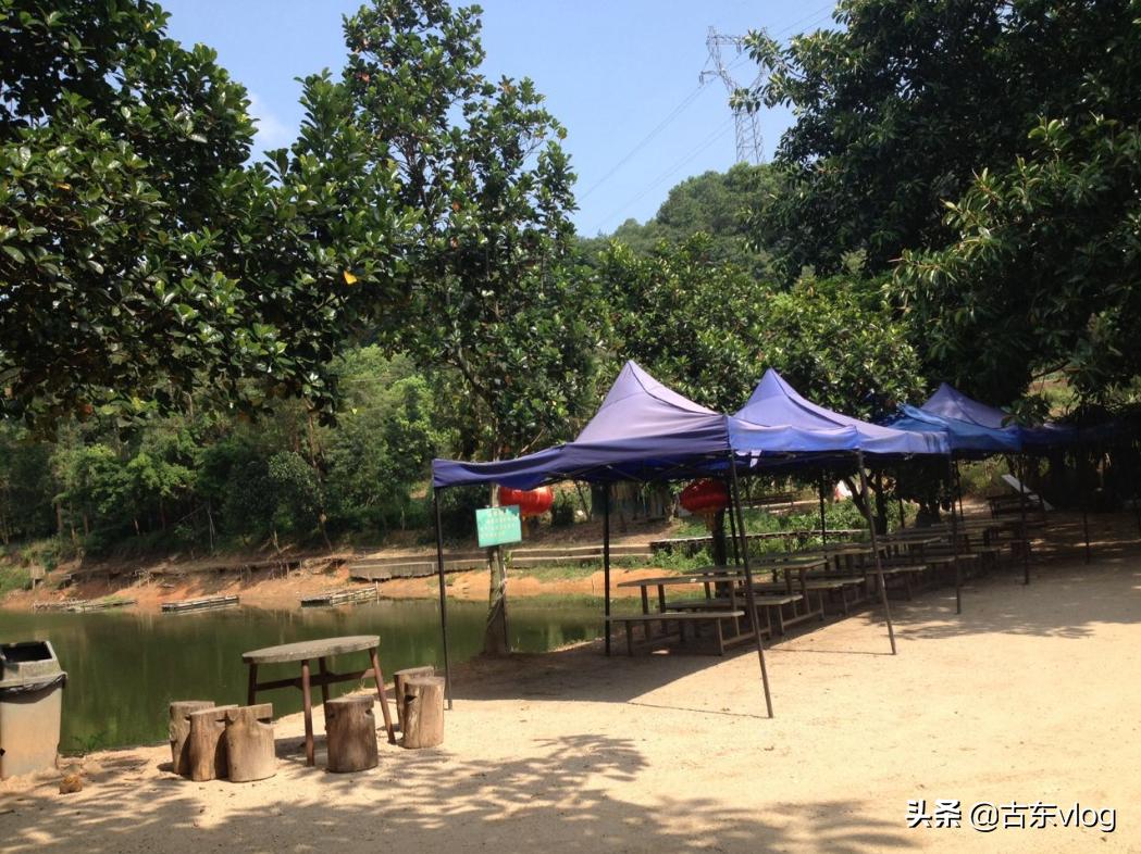 九龙生态农业园怎么样,九龙生态园