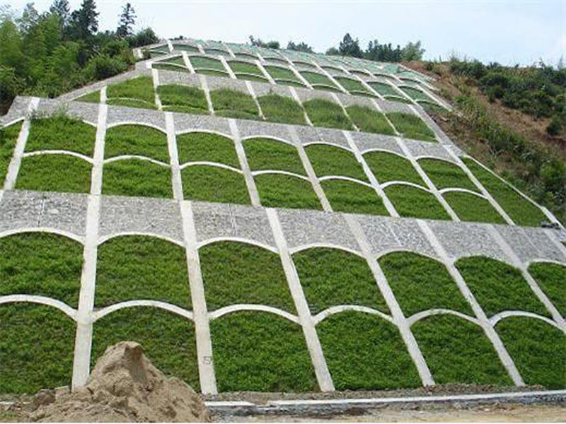 狗牙根种植草坪全过程,草坪种植狗牙根