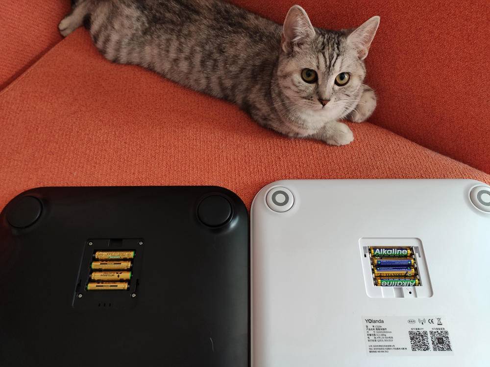 云康宝体脂秤蓝牙和wifi区别,云康宝和华为八电极体脂秤评测