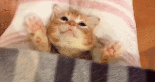 日本防止脱发的方法,日本最新治疗脱发技术