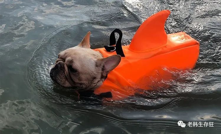 生存战争缺水了怎么办,生存战争遇到岩浆怎么办