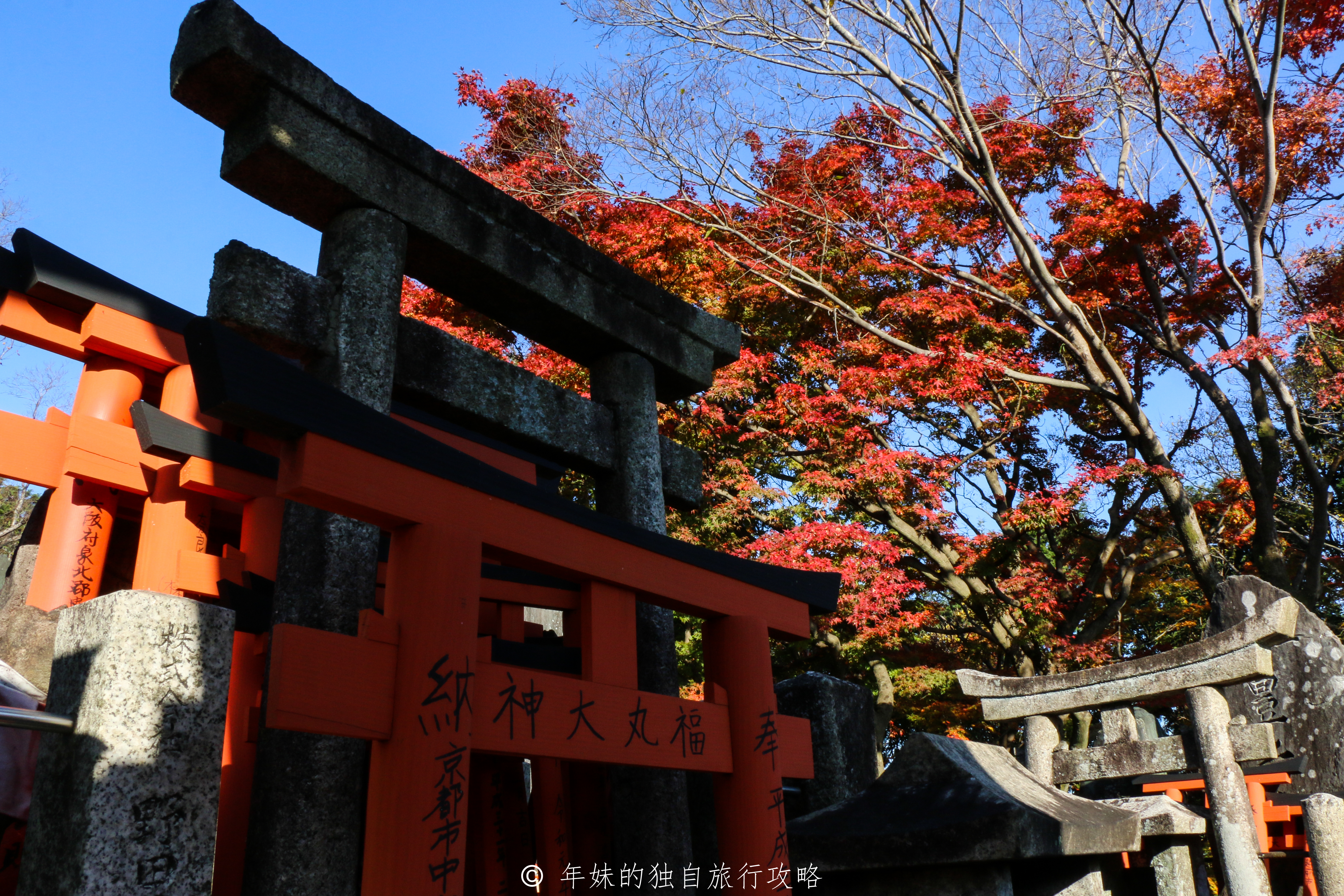 日本京都跟团旅游攻略,日本京都骑行旅游攻略