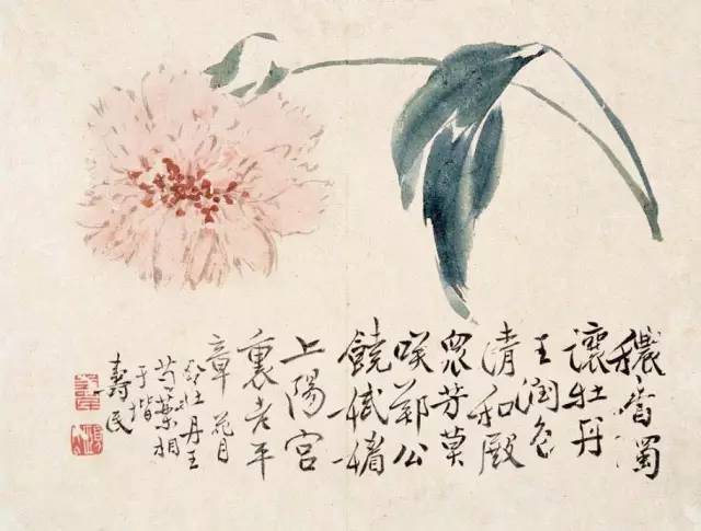 100幅精美写意牡丹画,名家大写意画牡丹作品图片