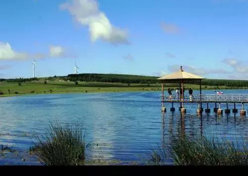 洋码头ceo曾碧波资产,洋码头曾碧波现在怎么样了