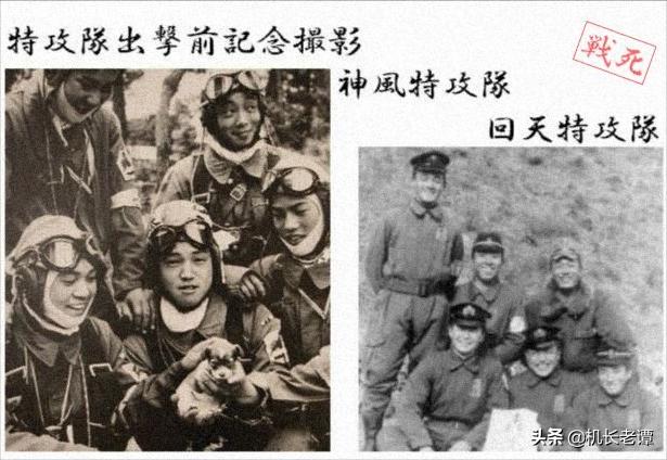 美军怎样对付日本的神风突击队,美军击杀日军神风特攻队