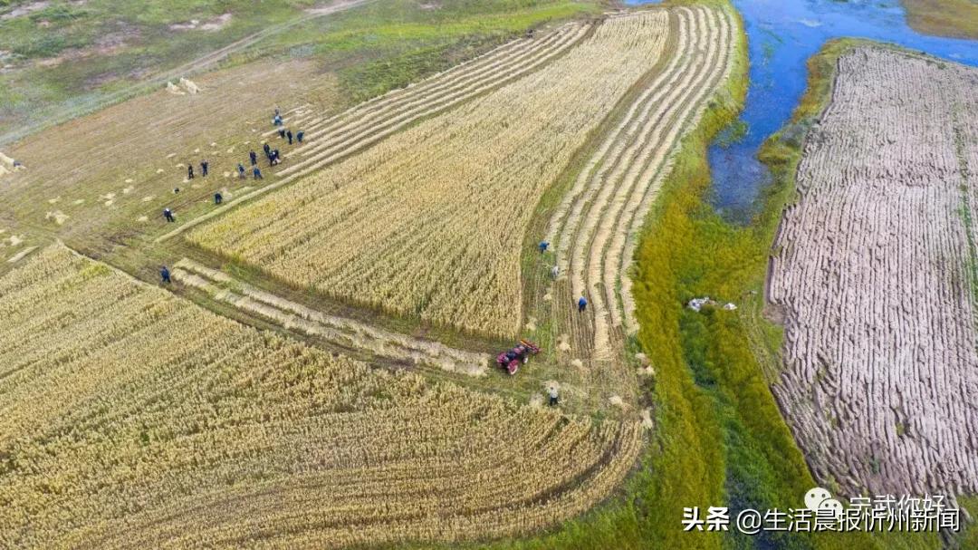 我的家乡在忻州歌曲,我的家乡宁武朗诵