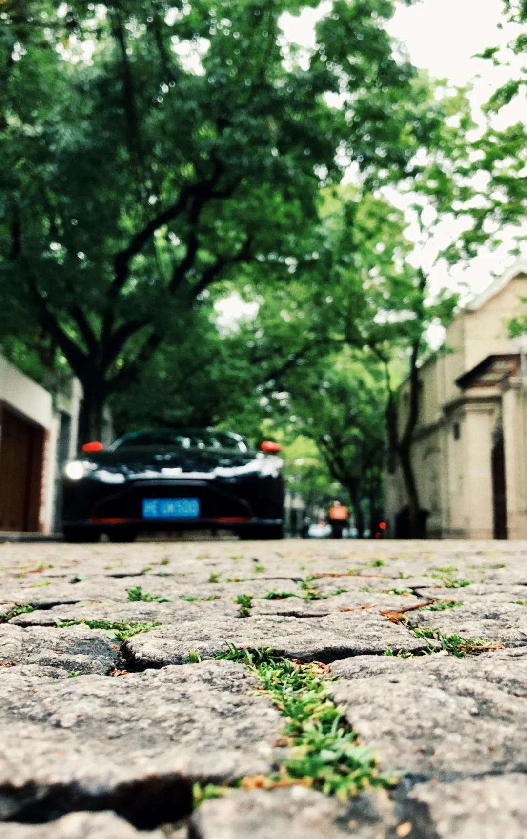 v8vantage2023,v8vantagev12vantage