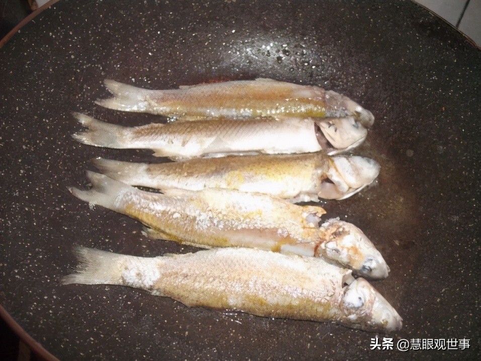 侯海洋基层风云在什么app上读,侯海洋基层风云10部在线阅读